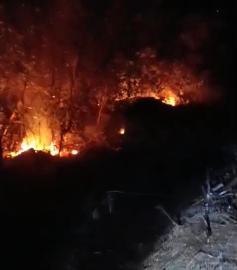 Hatay’da iki ayrı noktada yıldırım kaynaklı orman yangını kontrol altına alındı