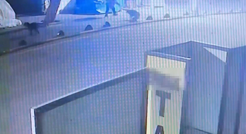 Emekli astsubay, sokak köpeğini tabancayla vurdu; o anlar güvenlik kamerasında