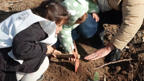 İstanbul- ‘Gazze Hayat Ormanı’na hayatını kaybeden çocuklar için 10 bin fidan dikildi