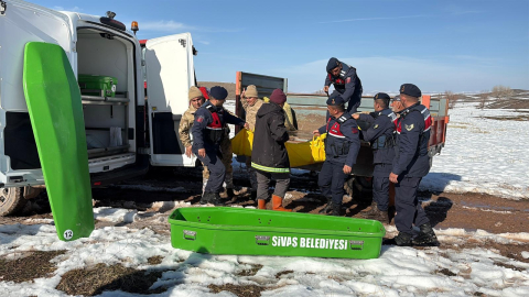 Sivas'ta 9 gündür aranıyordu; arazide ölü bulundu