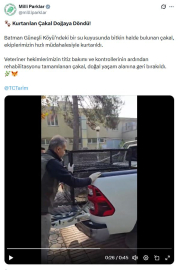 Su kuyusunda bitkin bulunan çakal doğaya geri bırakıldı