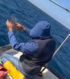 Misinaya dolanan caretta carettayı amatör balıkçı kurtardı