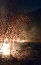 Erzurum'daki örtü yangını söndürüldü