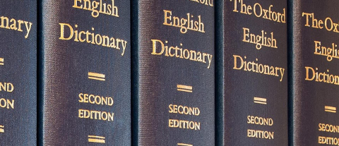 Oxford Sözlüğü 2025 yılının kelimesini seçti: Öfke yemi