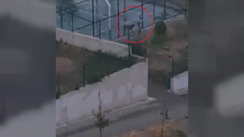 Ankara'da 2 kardeşe saldıran pitbullun sahibi tutuklandı (5)