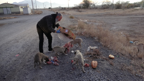 Esnaftan topladığı yiyeceklerle gönüllü olarak sokak hayvanlarını besliyor