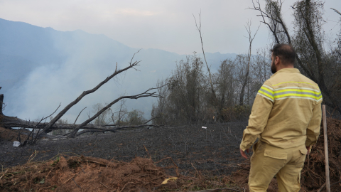 Artvin’deki örtü yangını kontrol altına alındı