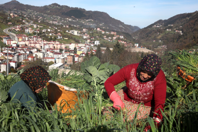 Karadeniz kadınının yayladan stadyuma uzanan Trabzonspor tutkusu