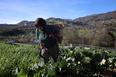 Karadeniz kadınının yayladan stadyuma uzanan Trabzonspor tutkusu / Ek fotoğraflar