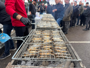 Ordu’da hamsi festivali, 7 ton hamsi ikram edildi