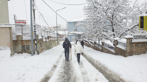 Van'ın 2 ilçesinde 11 yerleşim yeri kar nedeniyle ulaşıma kapandı