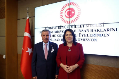 Meclis'te kamu denetçisi seçimi yapıldı