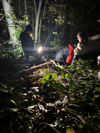 Engebeli arazide düşerek yaralanan orman işçisini ekipler kurtardı