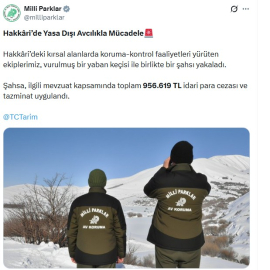 Yaban keçisi vuran avcıya 956 bin TL ceza