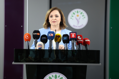 DEM Parti'li Doğan: Silah bırakan herkes düzenleme kapsamına girmeli