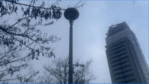 Ankara'ya mevsimin ilk karı düştü