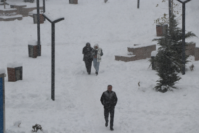 Van'da 341 yerleşim yeri kardan kapalı; okullarda kar tatili (4)