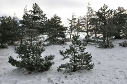 Spil Dağı, beyaz örtüyle kaplandı/Ek fotoğraflar