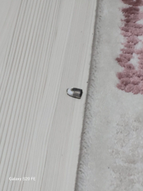 Aydın'da yorgun mermi çatıdan eve girdi