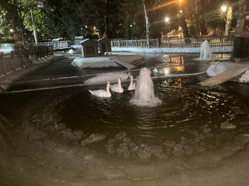 Ankara'nın simgelerinden Kuğulu Park'taki havuz buz tuttu