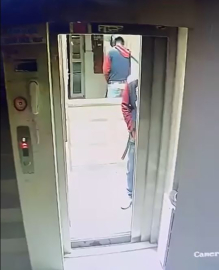 Kaskla apartmana giren şüpheli idrarını yapıp, damdaki kuşları çaldı; o anlar kamerada