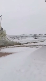 Mardin’de ahır çöktü: 10 koyun öldü