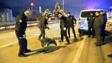 Devriye gezen polislerin bulduğu yaralı yavru kurt tedaviye alındı