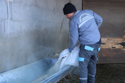 Hayvanat bahçesindeki canlılara ‘kış rasyonu’ / Ek fotoğraflar