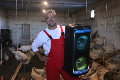 Türk sanat müziği dinlettiği tavuklardan yüzde 6 verim artışı sağladı