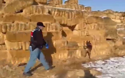 Kayseri'de saman balyaları arasında 1,4 kilo esrar ele geçirildi; 3 gözaltı