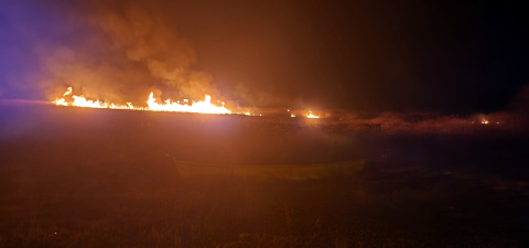 Eber Gölü'nde 5 farklı noktada yangın çıktı