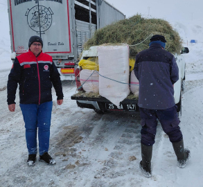Tipide mahsur kalan TIR’daki hayvanlara saman ve ot götürüldü