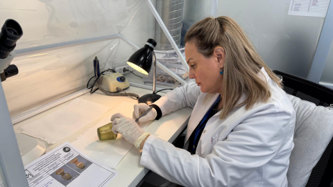 Tarihi eserlere 'hayat veriyorlar'