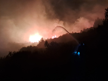 Antalya'da orman yangını/Ek fotoğraflar