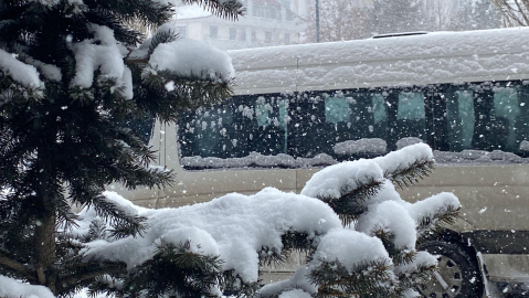 Doğu buz kesti: Kemaliye'deki taş yolda buz sarkıtları oluştu / Ek fotoğraflar