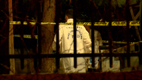 İstanbul - Esenyurt'ta parkta silahlı çatışma: 1 ölü 2 yaralı / Ek bilgi