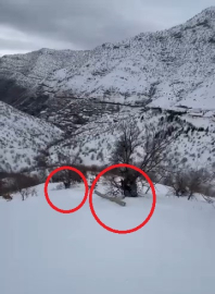 Eğimli arazide işçiler, karda kayan direkle birlikte sürüklendi; o anlar kamerada