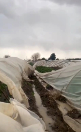 Antalya'da peş peşe hortumlar; seralar yıkıldı, çatılar uçtu (3)