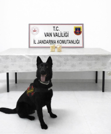 Van'da İran uyruklu yolcu, 510 gram eroin ile yakalandı