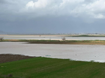 İzmir'de yağışlar çiftçinin yüzünü güldürdü