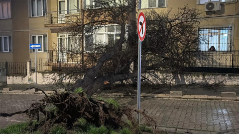 Tekirdağ'da fırtına; çatılar uçtu, ağaçlar devrildi / Ek fotoğraflar