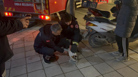 Boş evin balkonunda mahsur kalan kediyi itfaiyeciler kurtardı