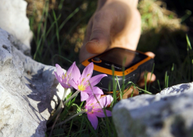 GPS verileri incelendi; orkidelerde kaçak söküm alarmı