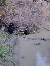 Hatay’da Asi Nehri’ne düşen vatandaşı arama çalışmaları sürüyor (2)
