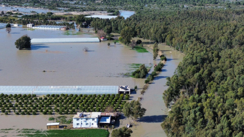 Antalya'da kuvvetli yağış 7 ilçede hasara neden oldu, mahsur kalan hayvanlar kurtarıldı (5)