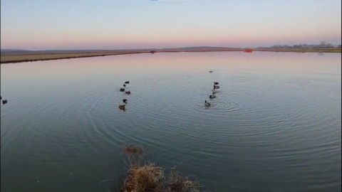 Edirne’de yasa dışı avlanan 4 avcıya 762 bin lira ceza