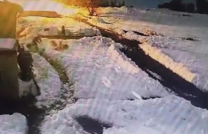 Köpeklerine saldıran kurtları kürekle kovaladı