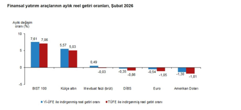 TÜİK: Aylık en yüksek reel getiri BIST 100 endeksinde oldu