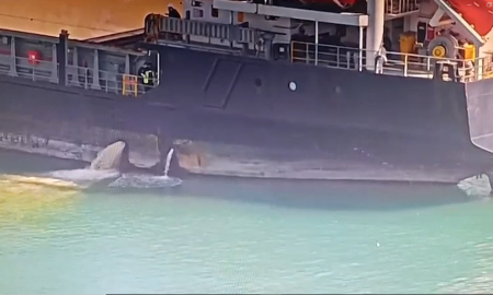 Mersin’de denizi kirleten gemiye 13 milyon 187 bin 913 TL ceza