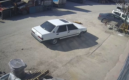 Yerde yatan köpek, otomobilin altında kaldı